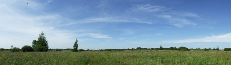 780x-greenwood-2017-07-10-dscf8582.jpg