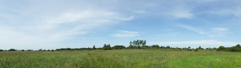 780x-greenwood-2017-07-10-dscf8590.jpg