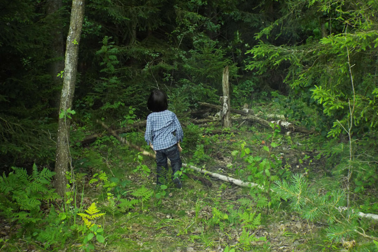 780x-greenwood-2017-07-11-dscf8669.jpg
