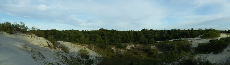780x-greenwood-2017-07-14-dscf8854.jpg
