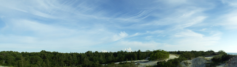 780x-greenwood-2017-07-15-dscf8950.jpg