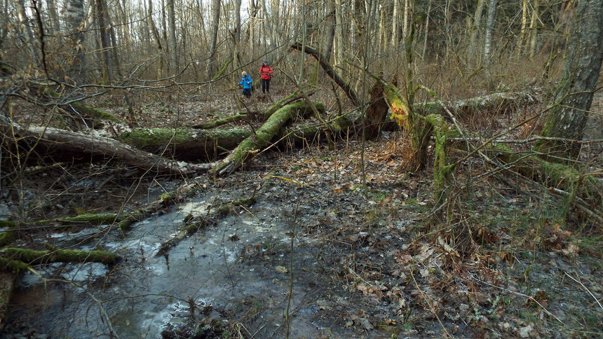 860x-greenwood-2018-01-14-dscf9761.jpg